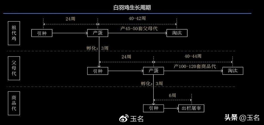 博弈中的十大策略,三种博弈思路和方法