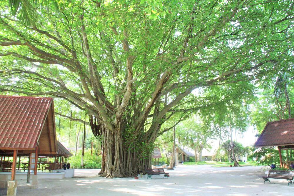 印度尼西亚地理百科,印度尼西亚行政区划