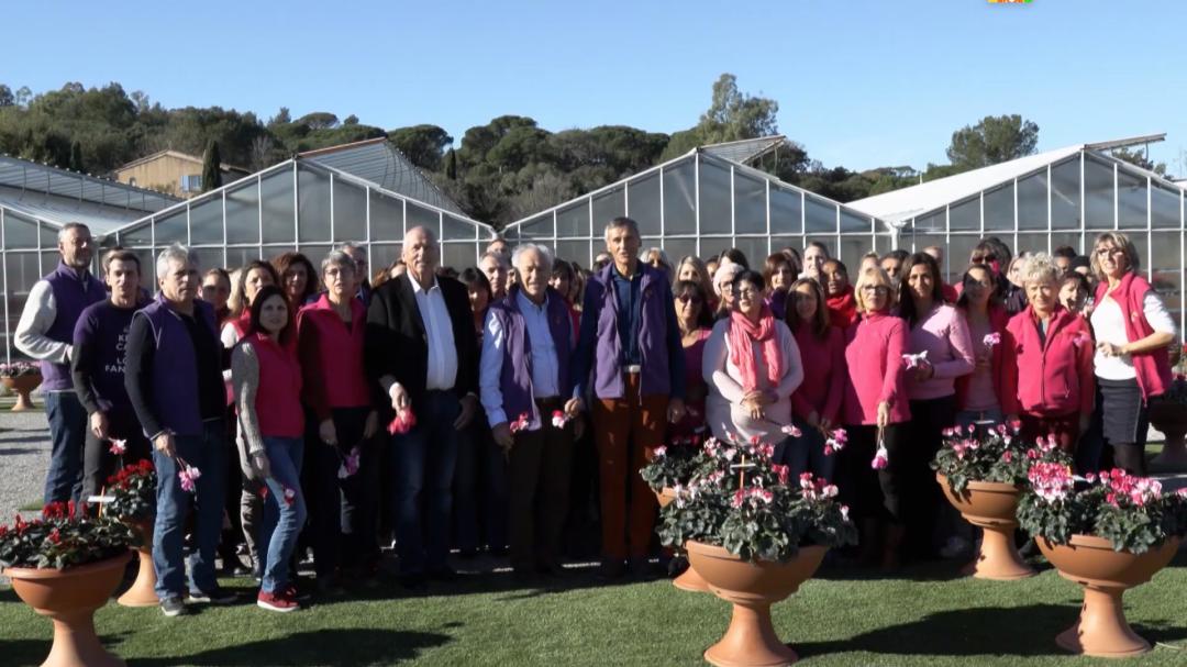 娉曞浗鑾幈灏斾粰瀹㈡潵鍝佺,鑾幈灏斾粰瀹㈡潵