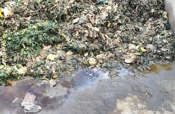 315之前，腌菜厂大汉竟然练成了“金刚脚”，“神药”使老人疯狂