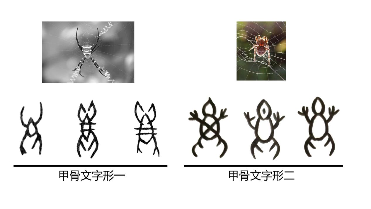 汉字探源：绳和渑中的黾是什么东西？