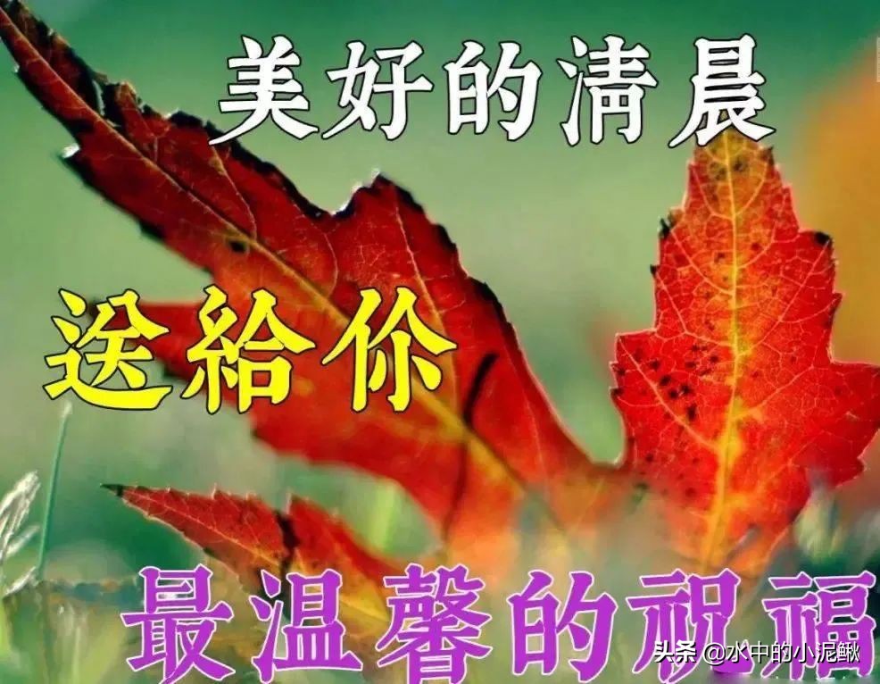 早安励志语录简短的句子有哪些,早安语录励志句子短句有哪些