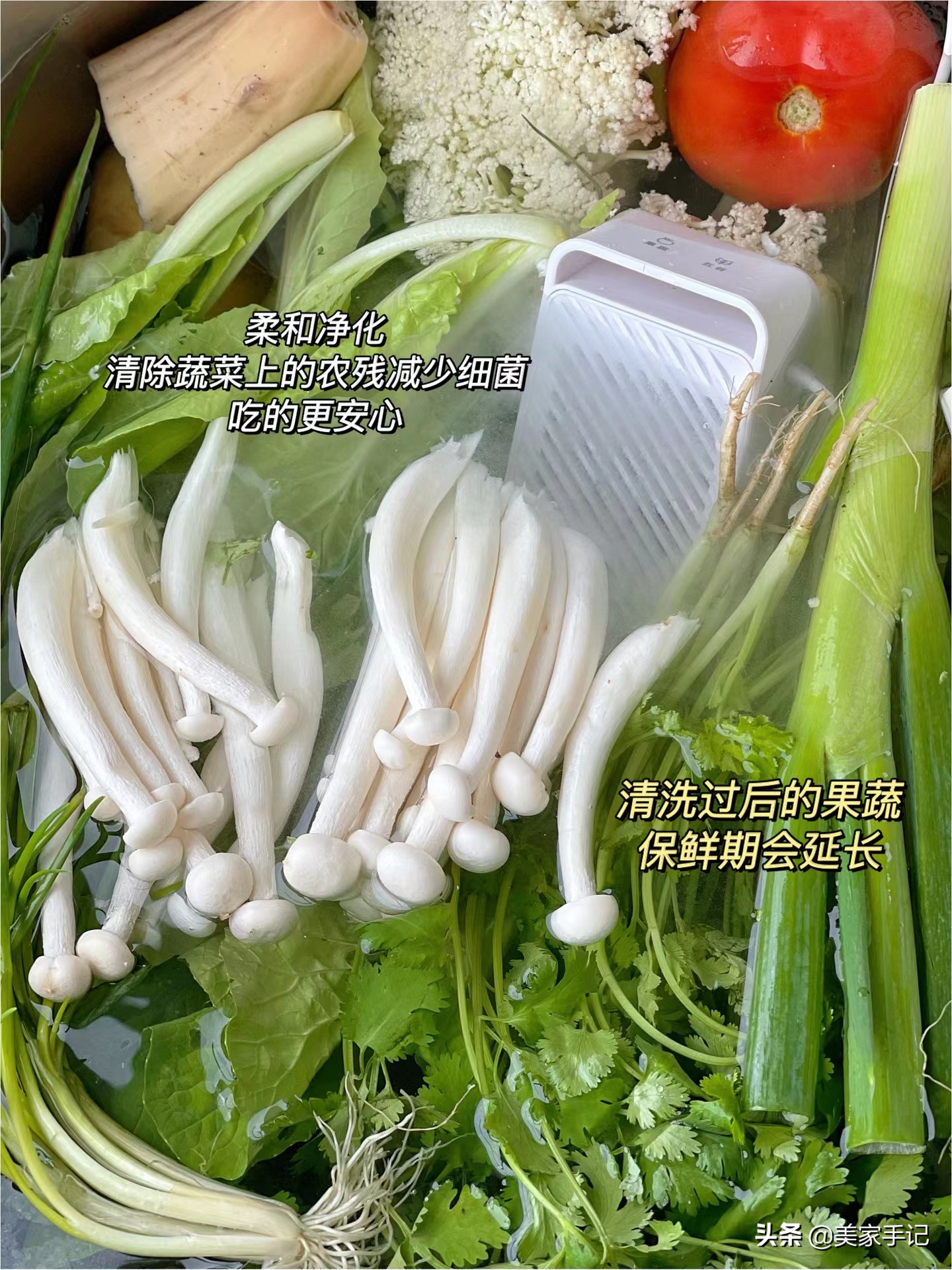 厨房用品必买清单50-100元,相见恨晚的5件厨房好物