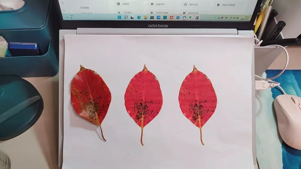 如何拥有一台满意的打印机?真实购机经验分享