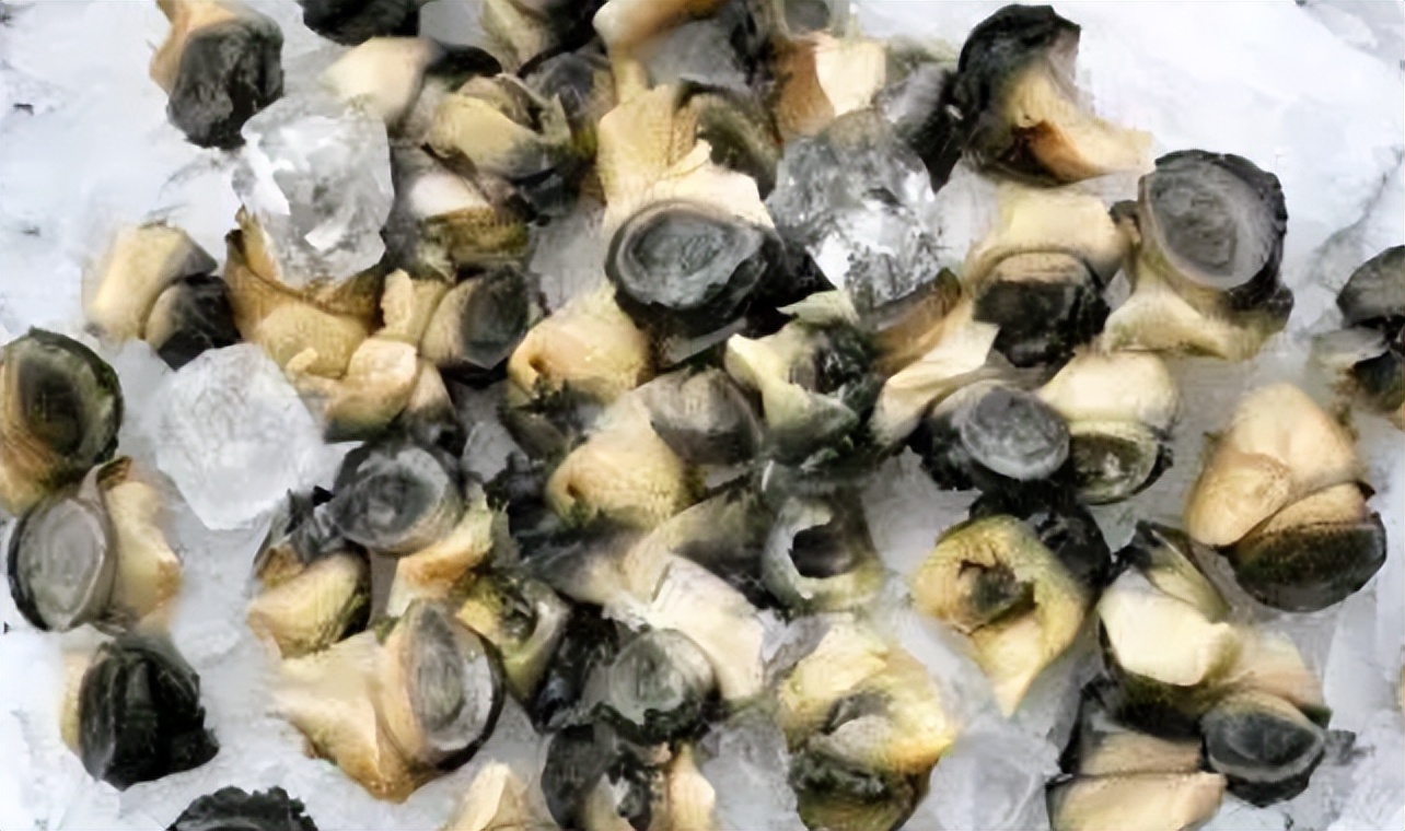 广西女童脑死亡父母捐其器官,小孩脑子取出活虫