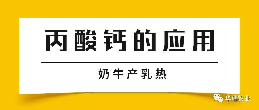 丙酸钙喂牛的好处,丙戊酸钙吃了有什么效果