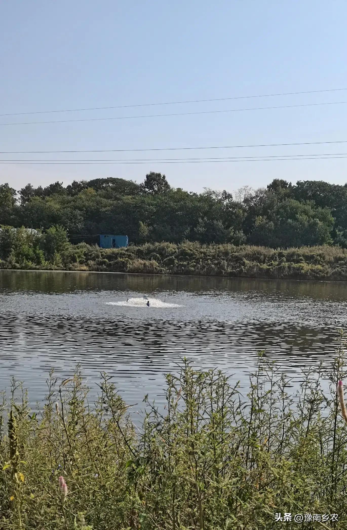 我，干过施工队长，也当过猪贩赚钱，如今卖肉依然是生意兴隆