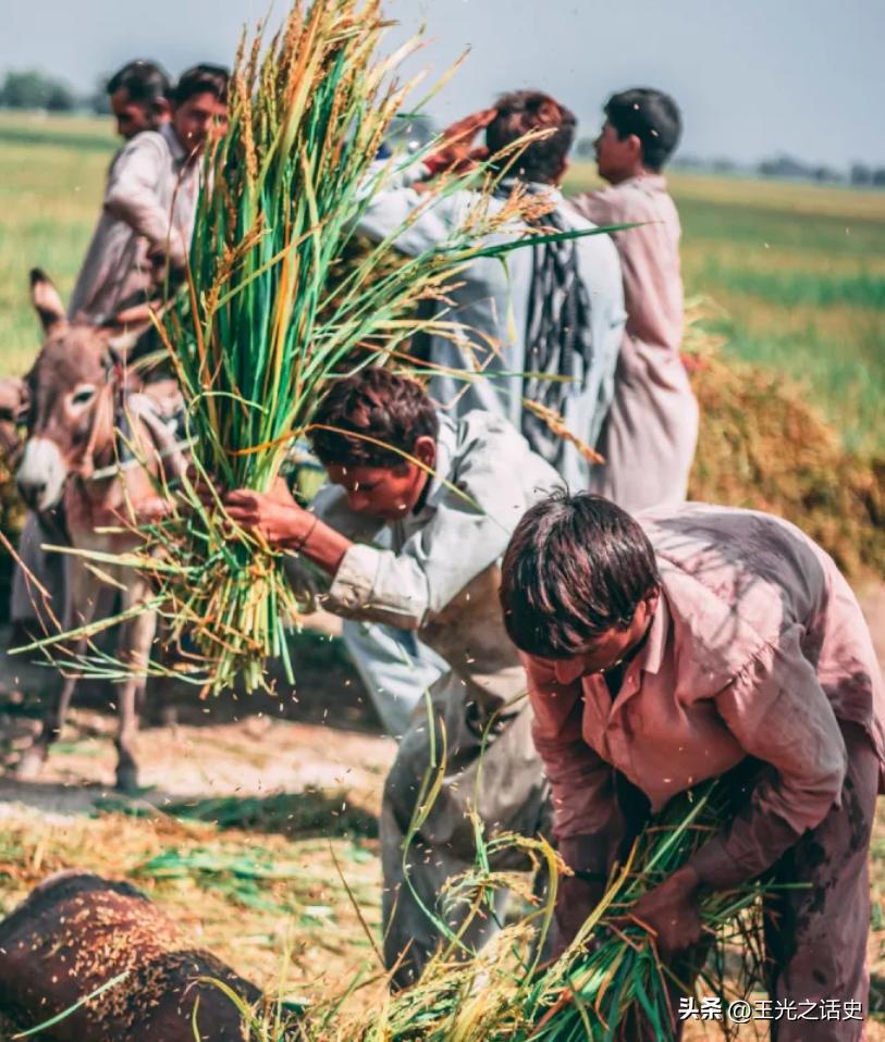 巴铁是巴基斯坦还是巴勒斯坦,巴基斯坦和巴铁是一个地方吗