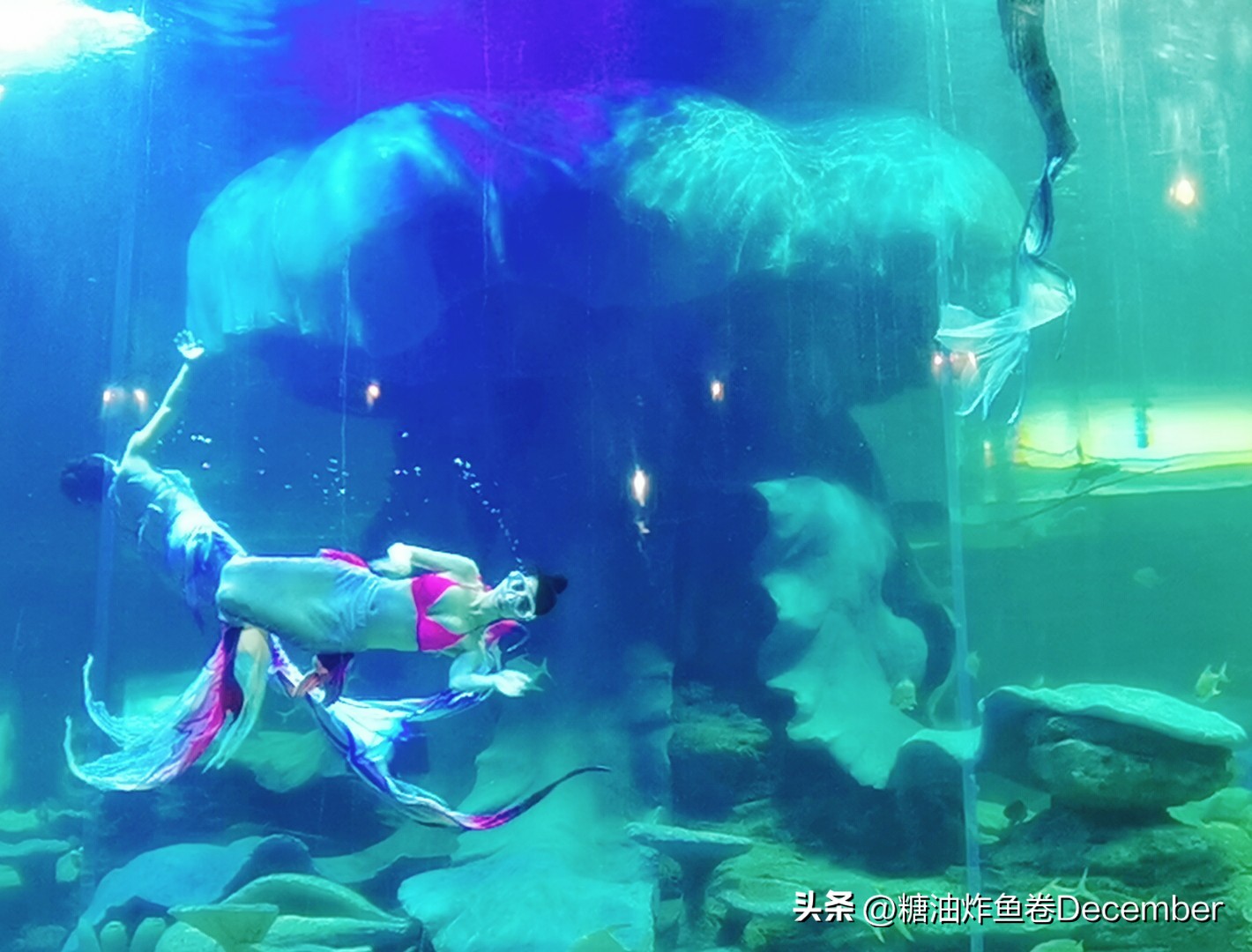 龙谷湾恐龙乐园扶绥攻略,扶绥龙谷湾恐龙公园游玩一天够吗