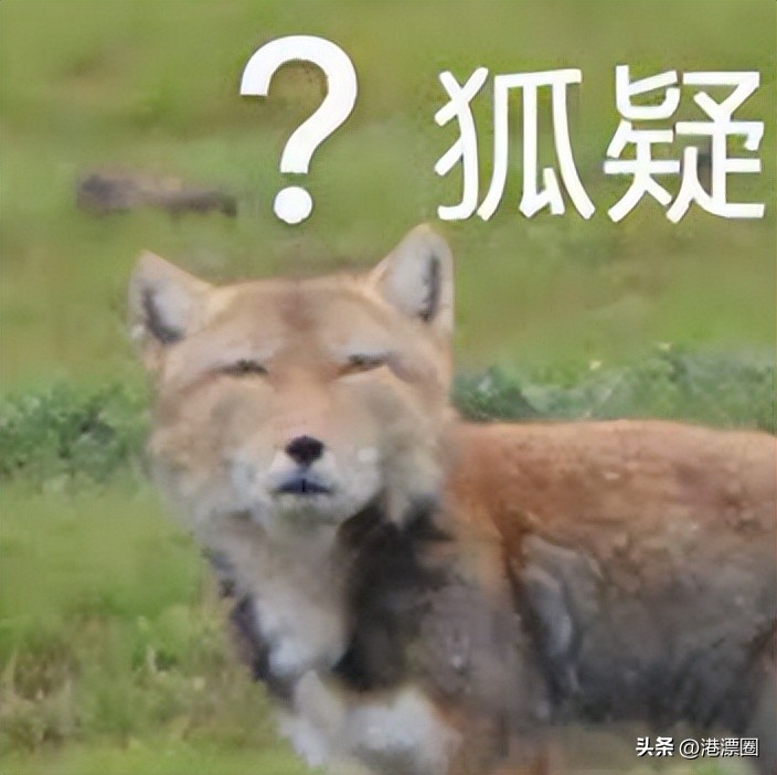 内地游客在香港吃香港美食,香港人回大湾区找美食