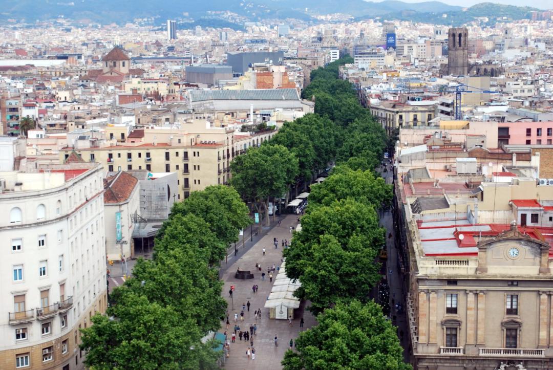 msc邮轮欧罗巴号,msc邮轮迪拜价格表