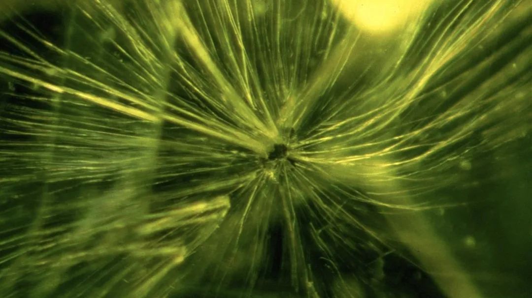 石榴石的大家族,石榴石中哪个品种最好