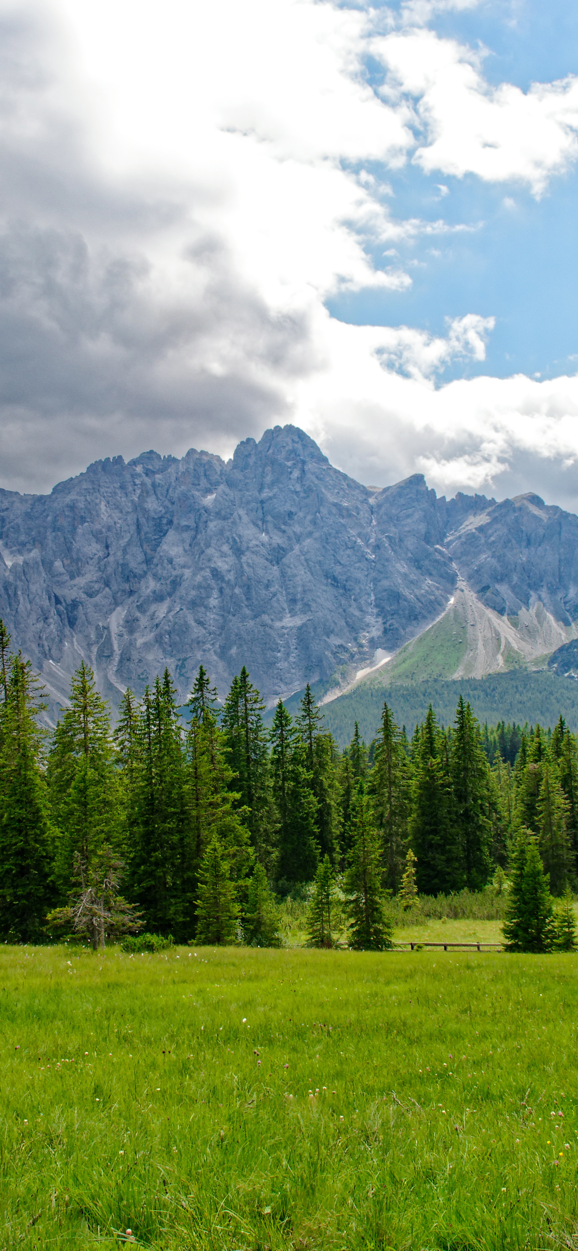 高清蓝天自然风景壁纸,动物自然风景高清壁纸