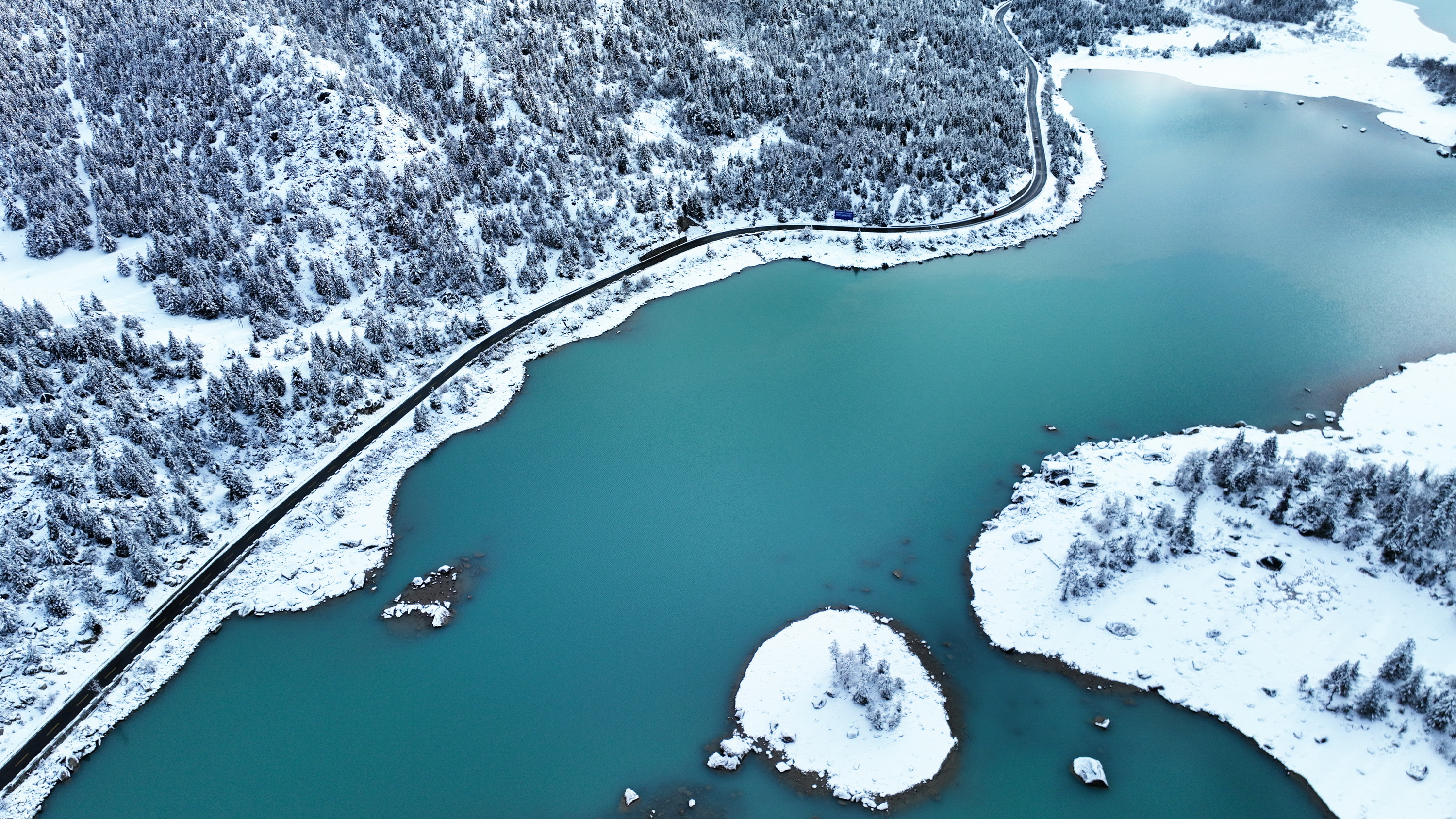 雪域林芝桃花图片 (在雪域江南西藏林芝邂逅漫山桃花)