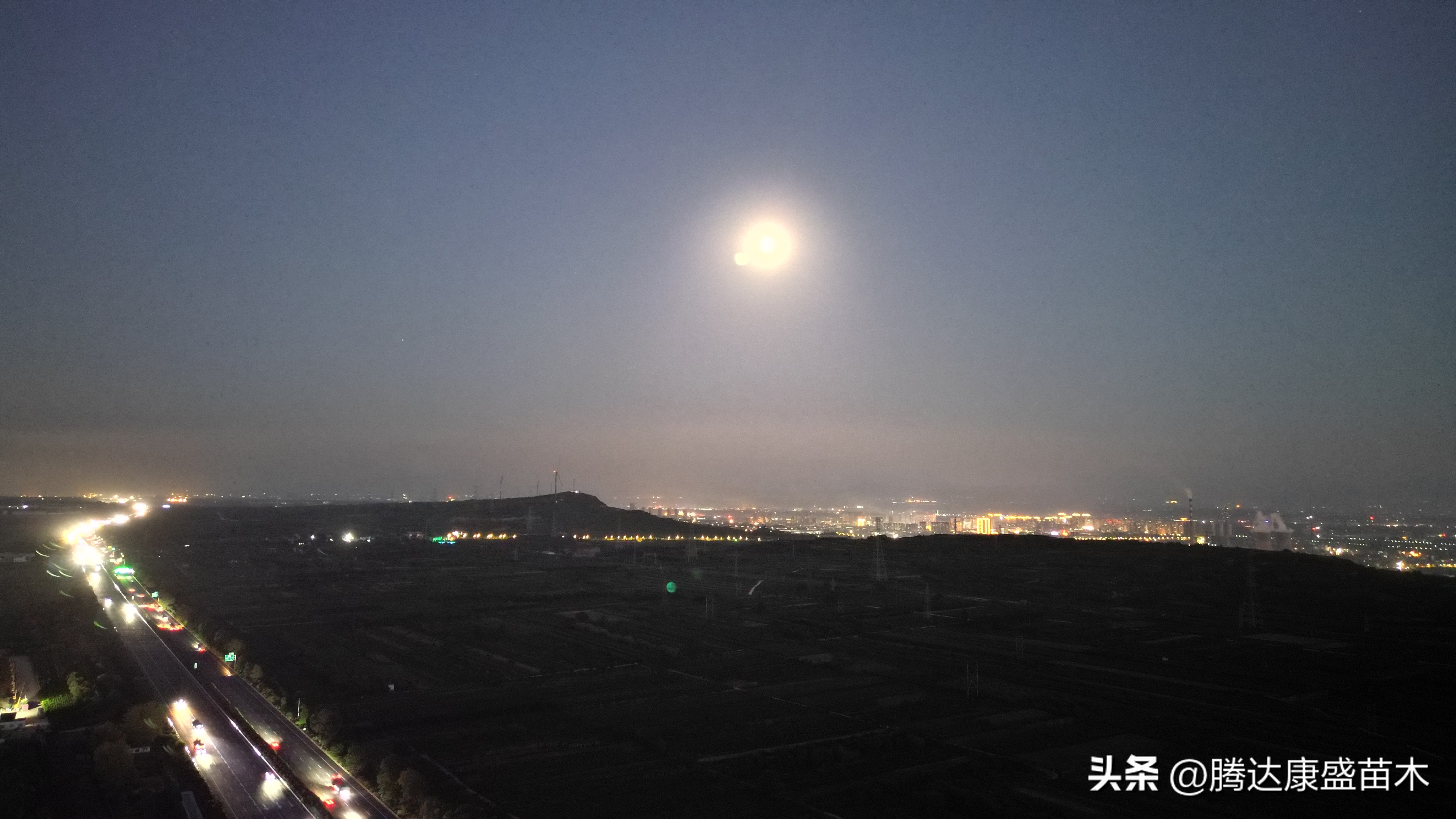 苗木行业盈利模式,创造价值跟创造利润有什么不同