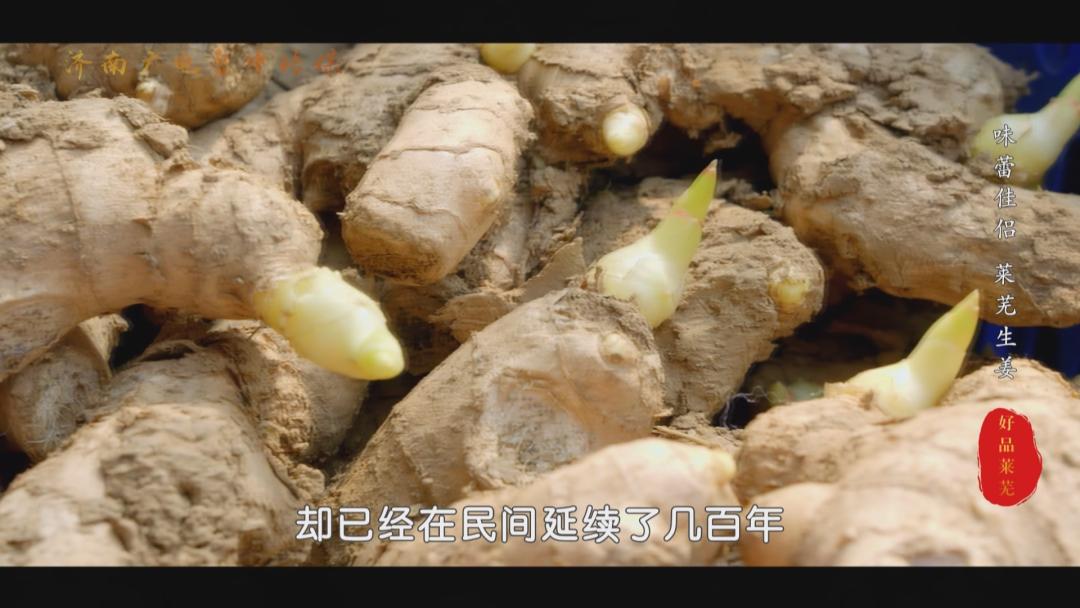 【山东好品】莱芜生姜，出口100多个国家的“味蕾伴侣”！