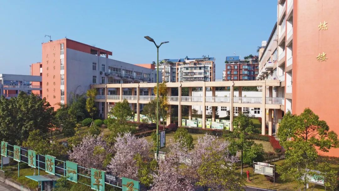 宜宾六中升学率怎么样,宜宾六中2014级