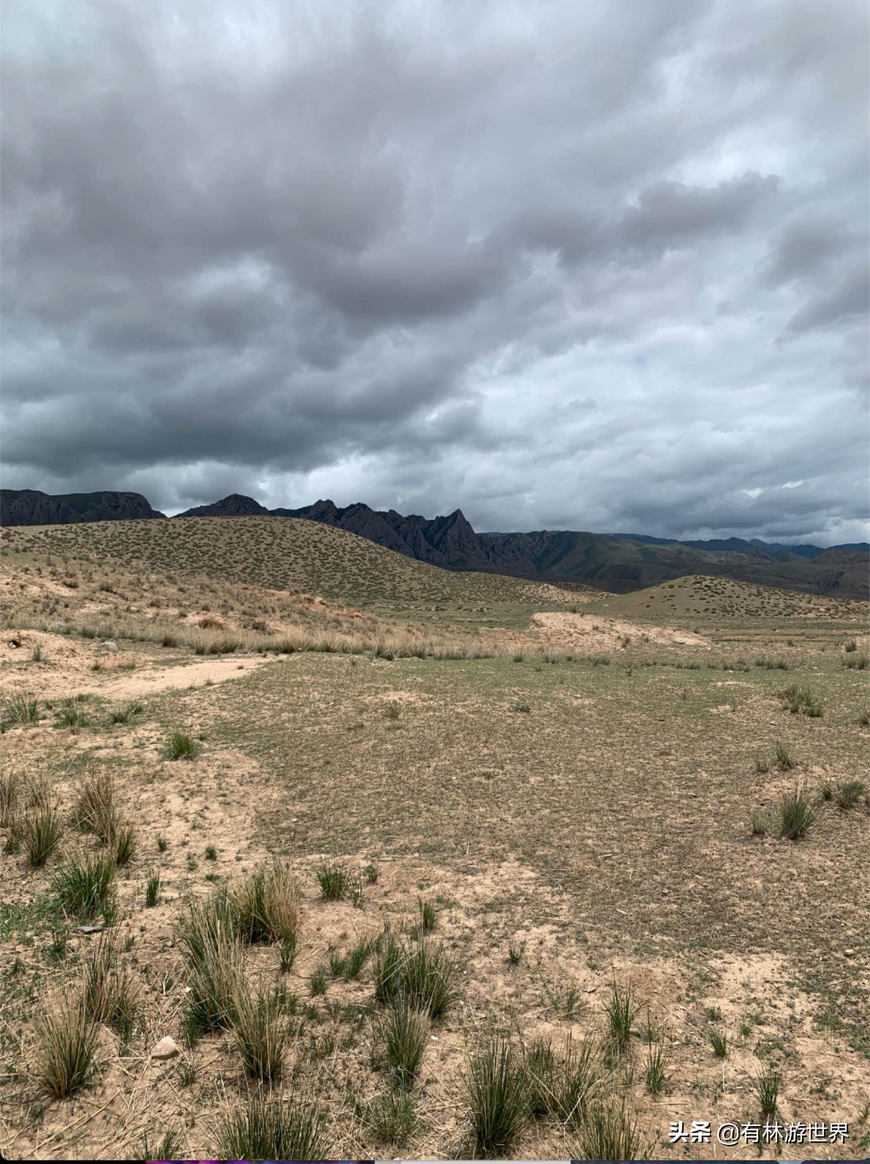 失业两年的旅游人,一个失业在家的旅游业者