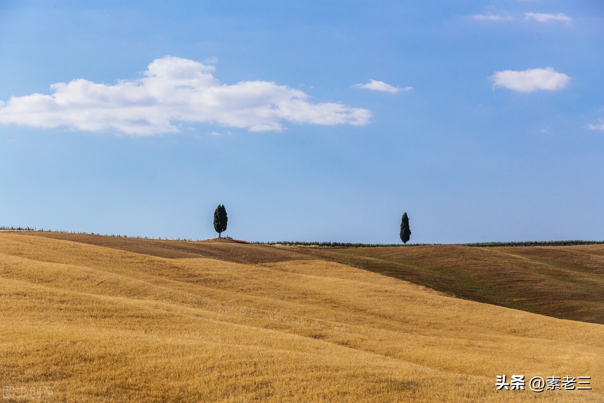 女作家去做保姆530集,女作家去做保姆意外的收获