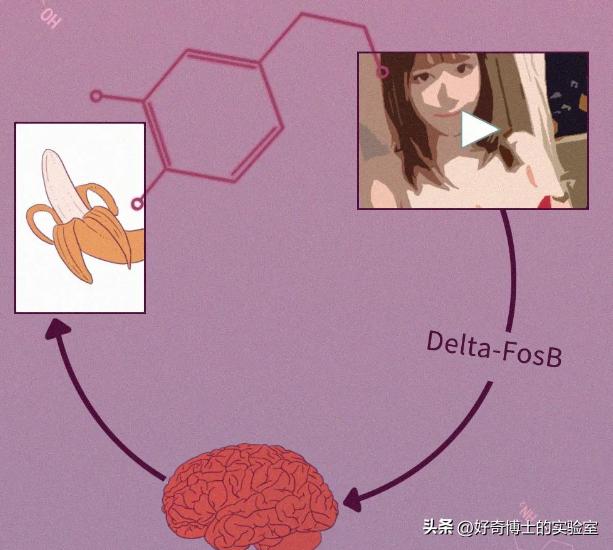 男女需求不同选择也不同,男女年龄差距太大怎么处理