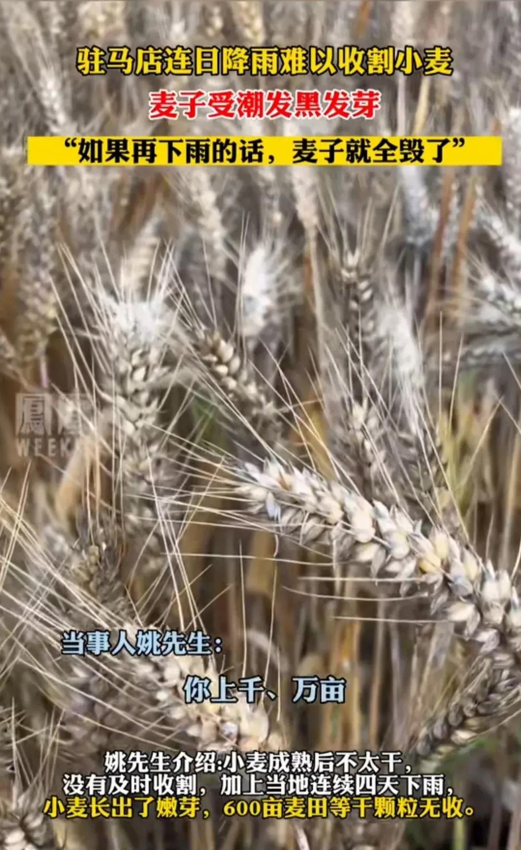 承包10000亩土地种粮食能挣钱吗,承包1000亩农田能赚多少