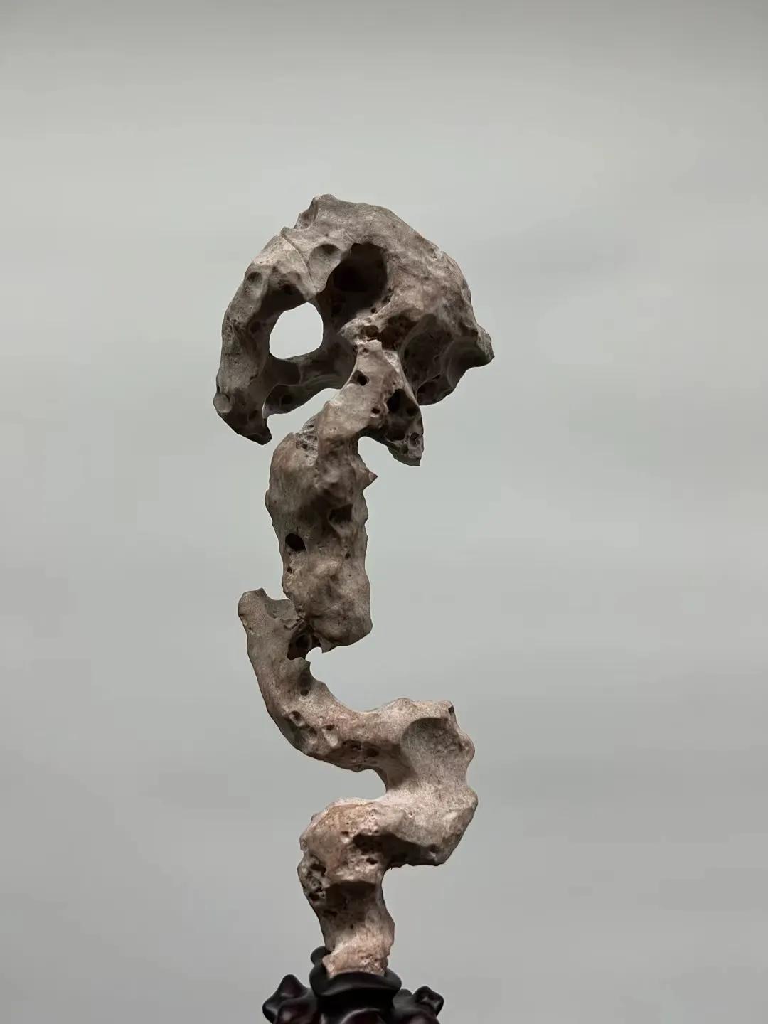 禅意太湖石,禅意的太湖石