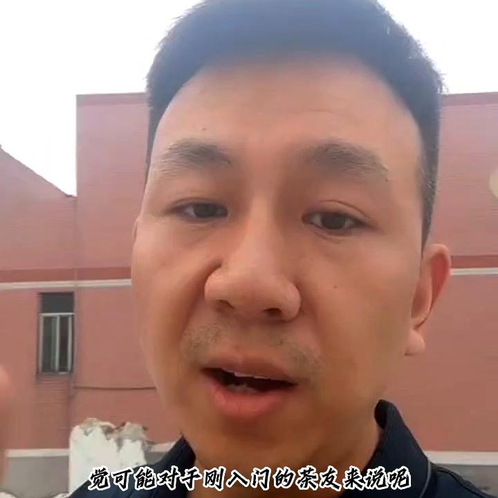 普洱茶深度解析视频,真正的普洱茶视频