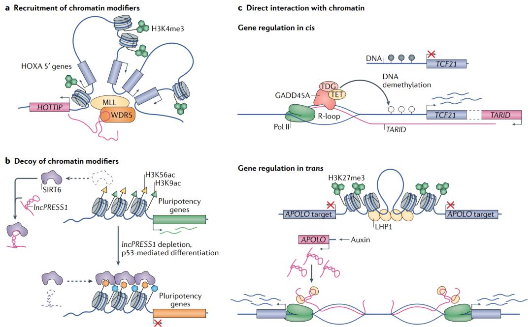 nature最新论文,nature论文最新发现