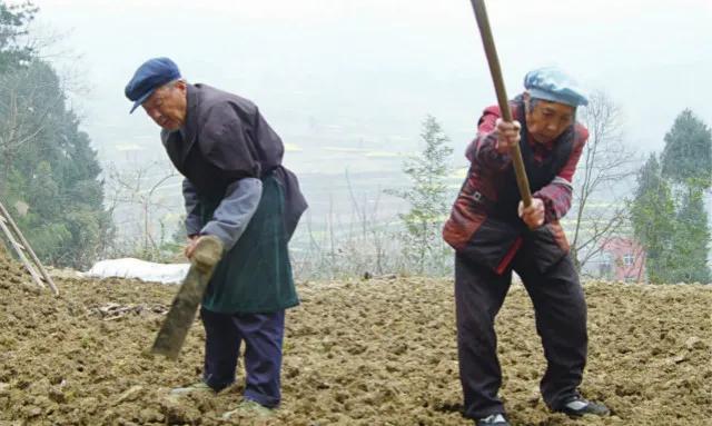 郑州富士康与河南省的关系,郑州富士康是什么行业
