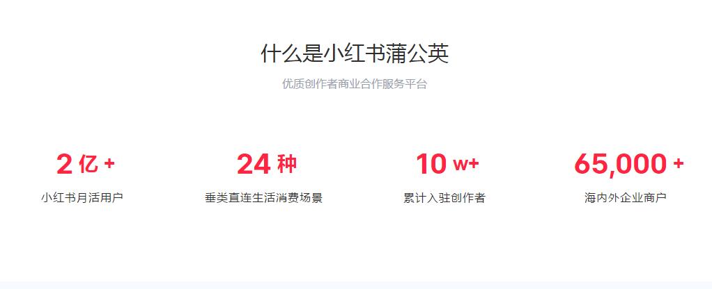 小红书违规封号规则 (小红书违规永久封号)