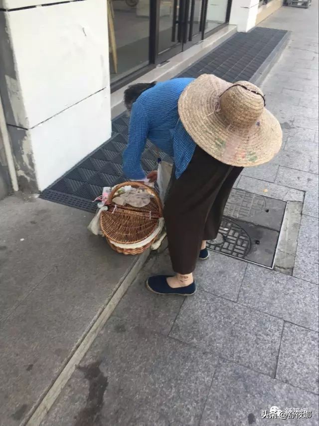 苏州园林拙政园地址,苏州园林路拙政园