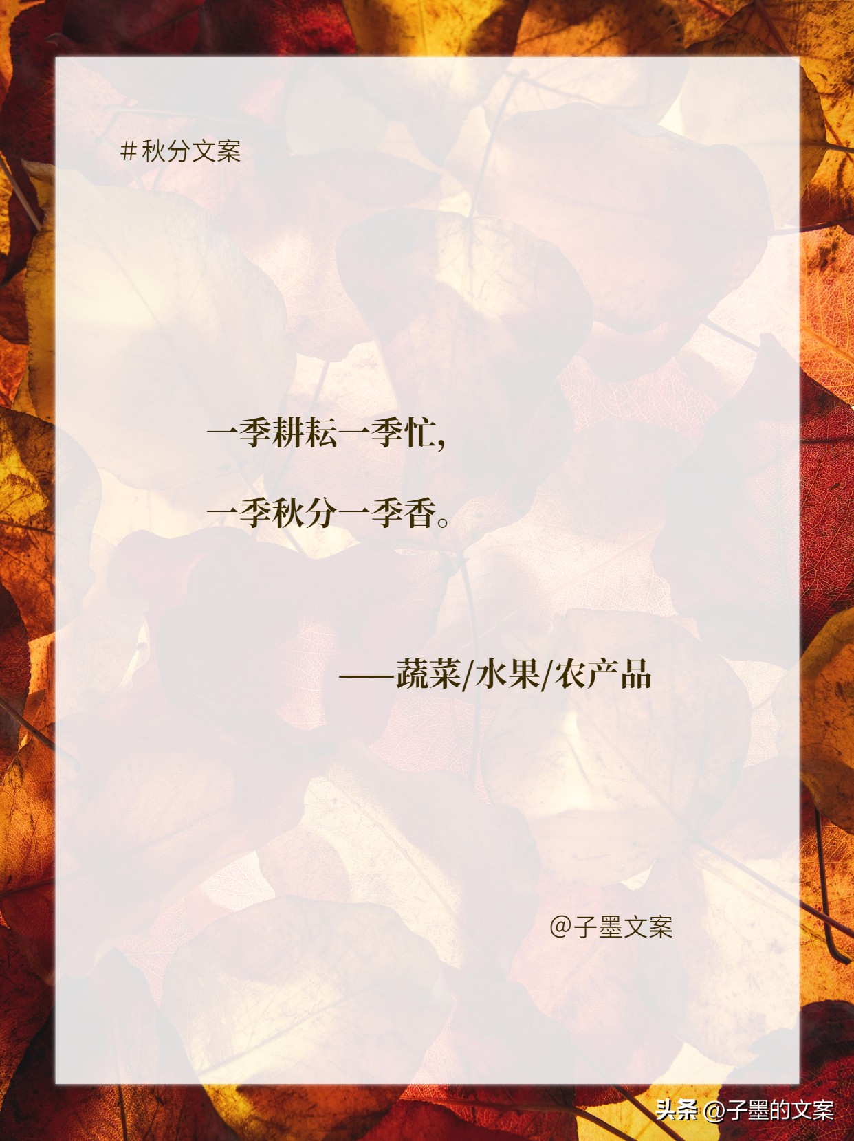 秋分朋友圈文案小红书,秋分暖心文案短句唯美