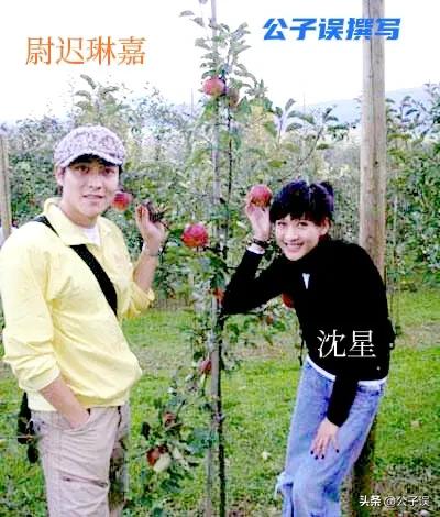 一张和冯小刚的“夜宿门”照片,彻底撕下了沈星的遮羞布