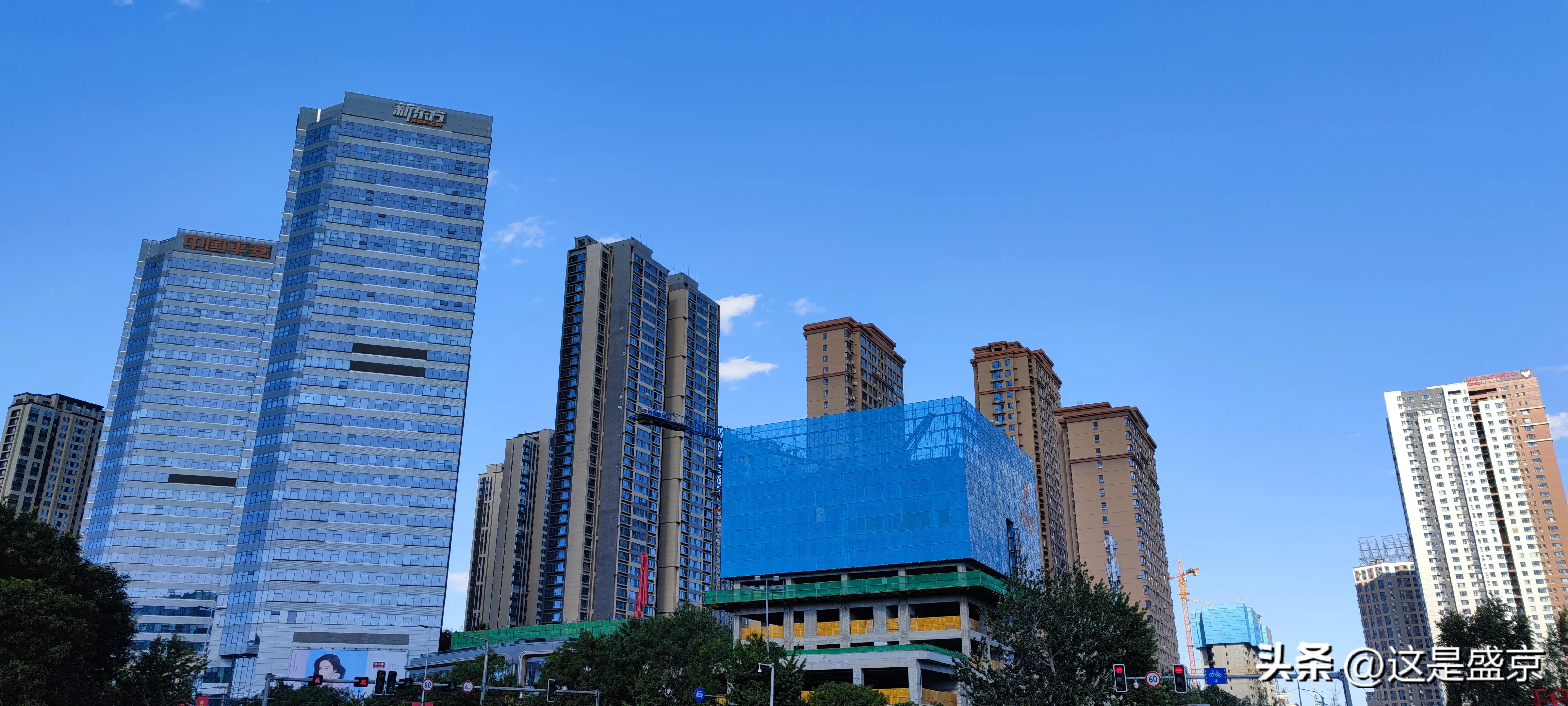 沈阳九区四县是哪九区,沈阳市九区四县