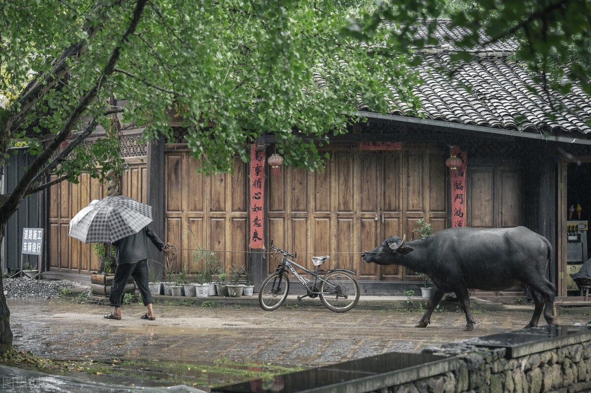 大城市不香了？自媒体能让在家创业，回乡创业从不现实变成现实吗