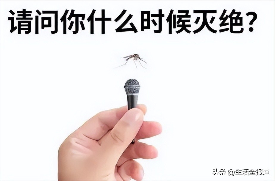 蚊子包止痒妙招,怎么给蚊子包止痒