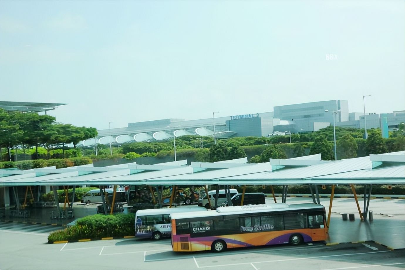 新加坡樟宜机场的仙人掌花园,新加坡最美机场在哪个航站楼