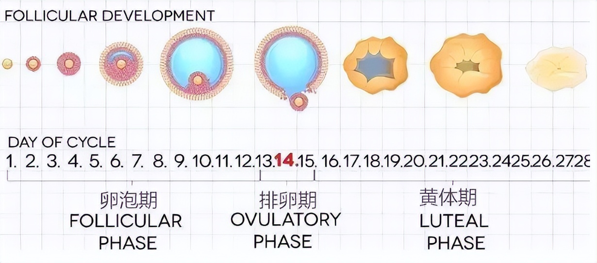 憋尿憋出血可以自愈吗,憋尿憋的出血了怎么办