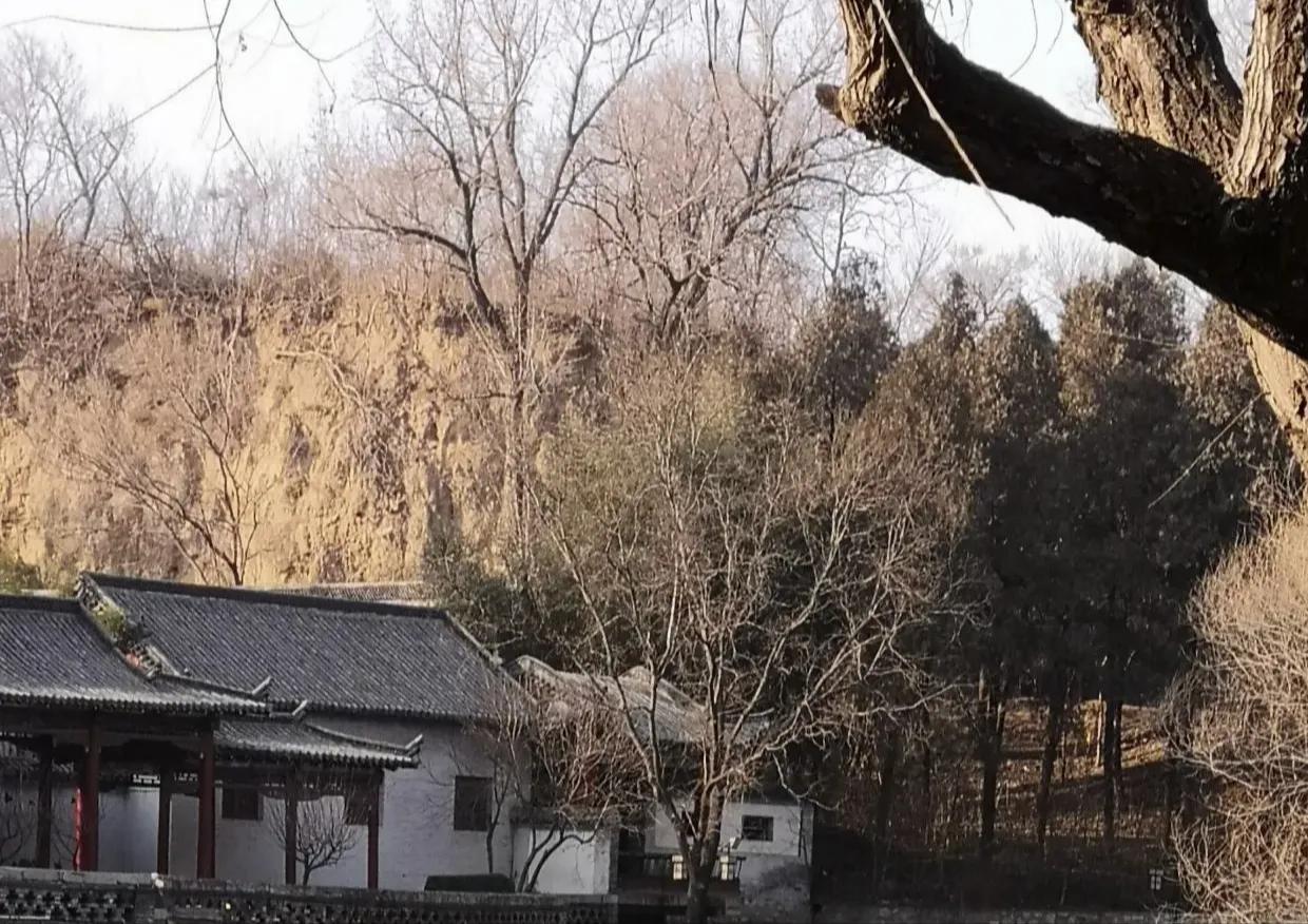 春天的脚步总是如约而至,春天的脚步岁月静好