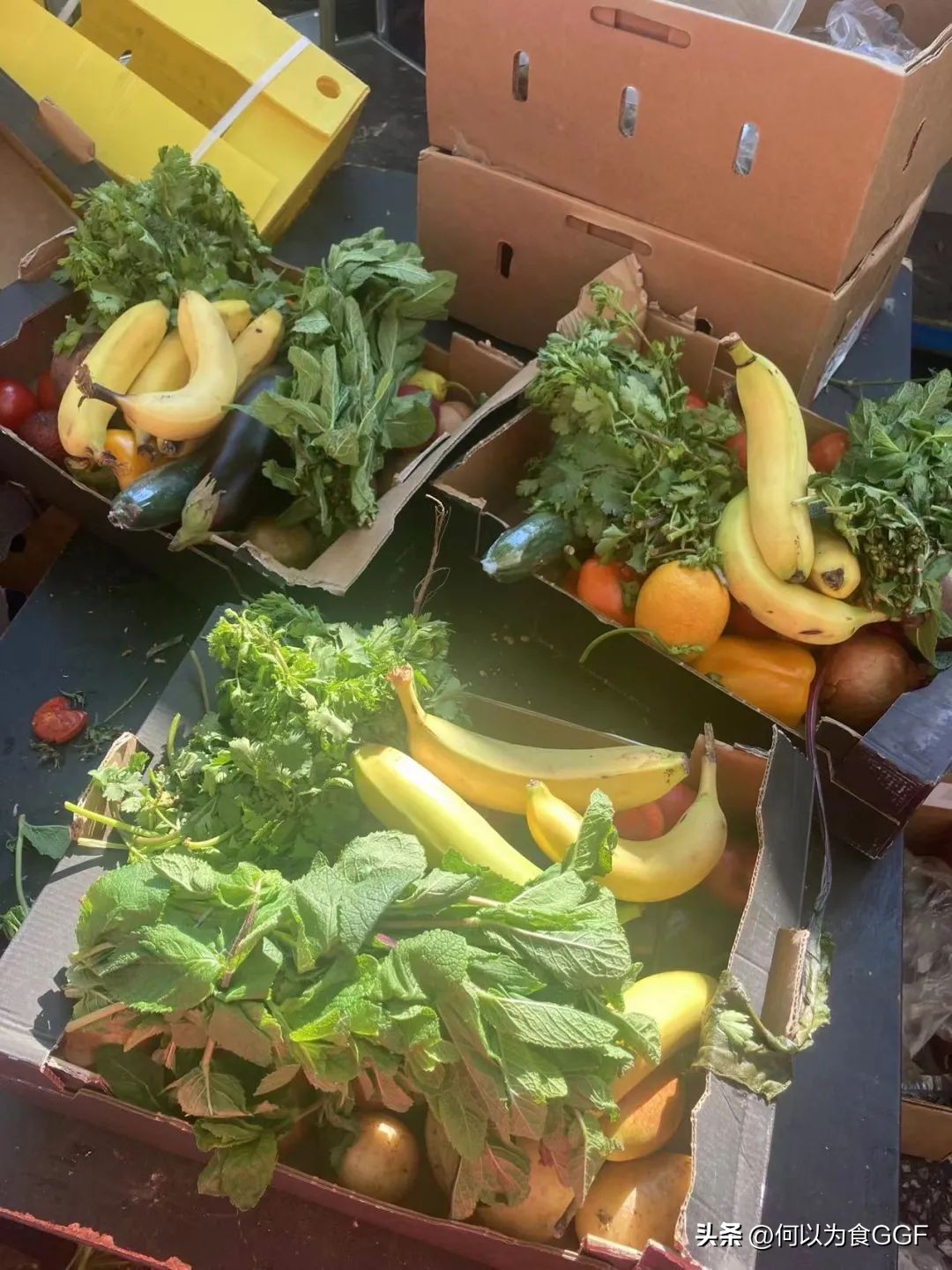 我在法国捡海鲜,我在欧洲捡垃圾