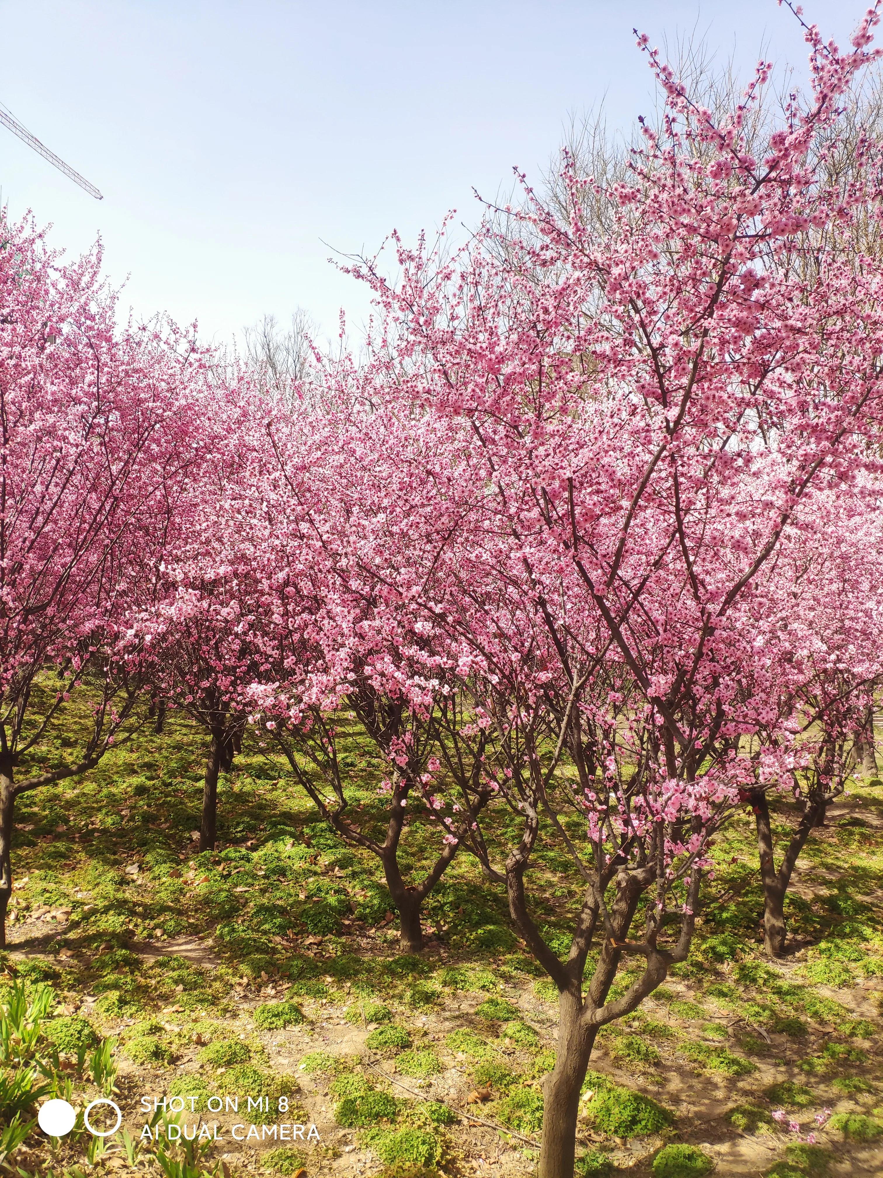 半夜12点给你发消息,晚上十二点来找你怎么回