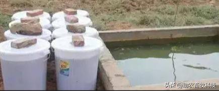 粪类肥料,复合肥鸡粪肥