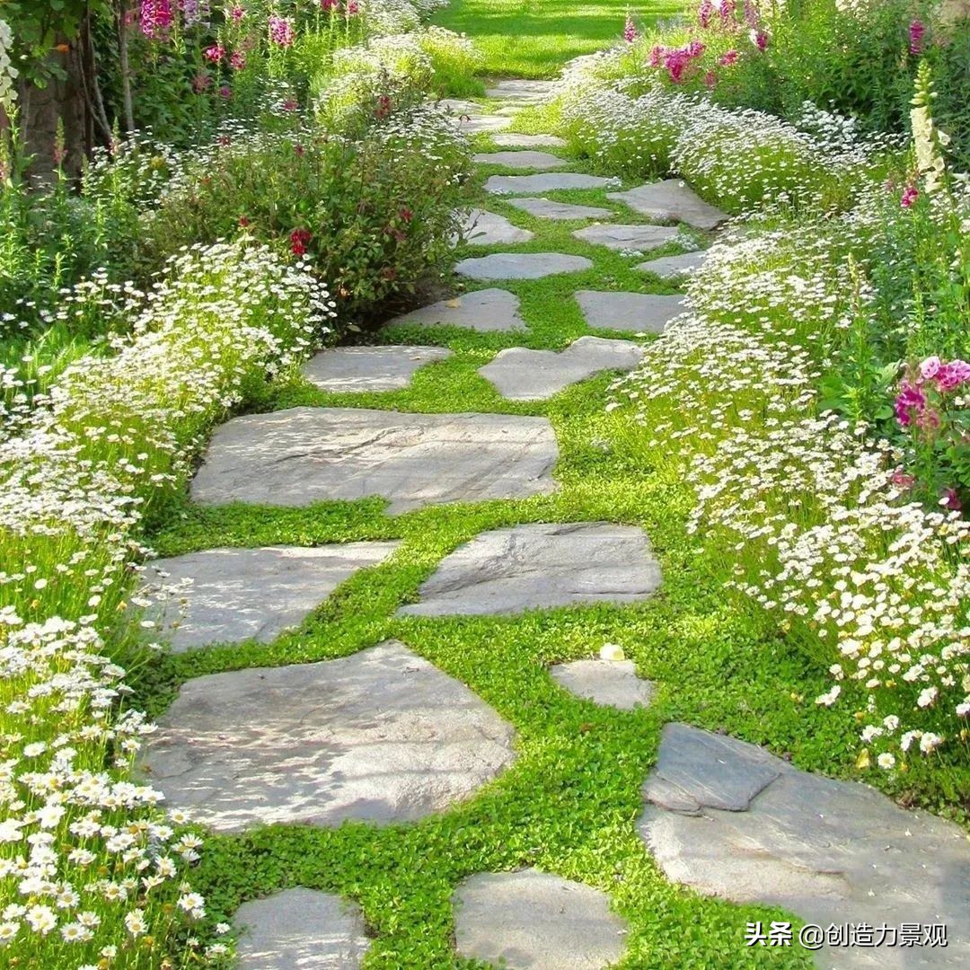 一花一草一世界原创花草,一花一草一世界花草之美