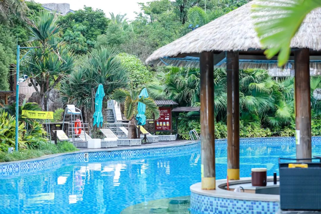 香港新晋的明星,现身厦门的香港明星