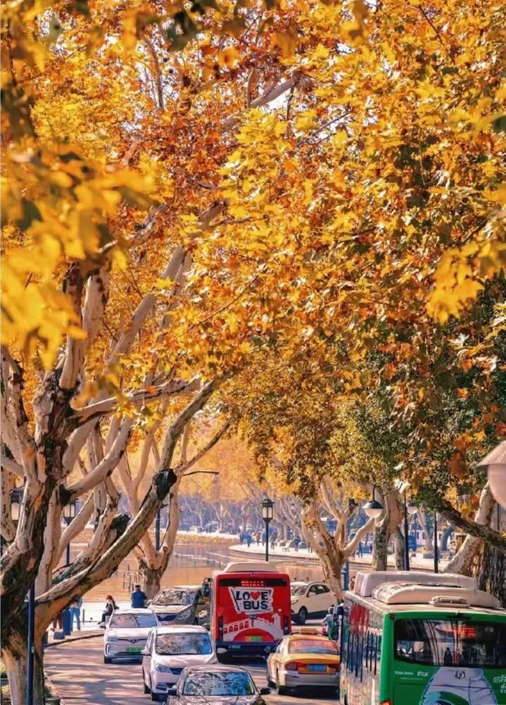 磨金石教育摄影技巧干货分享,磨金石教育和大鹏教育哪个好些呀