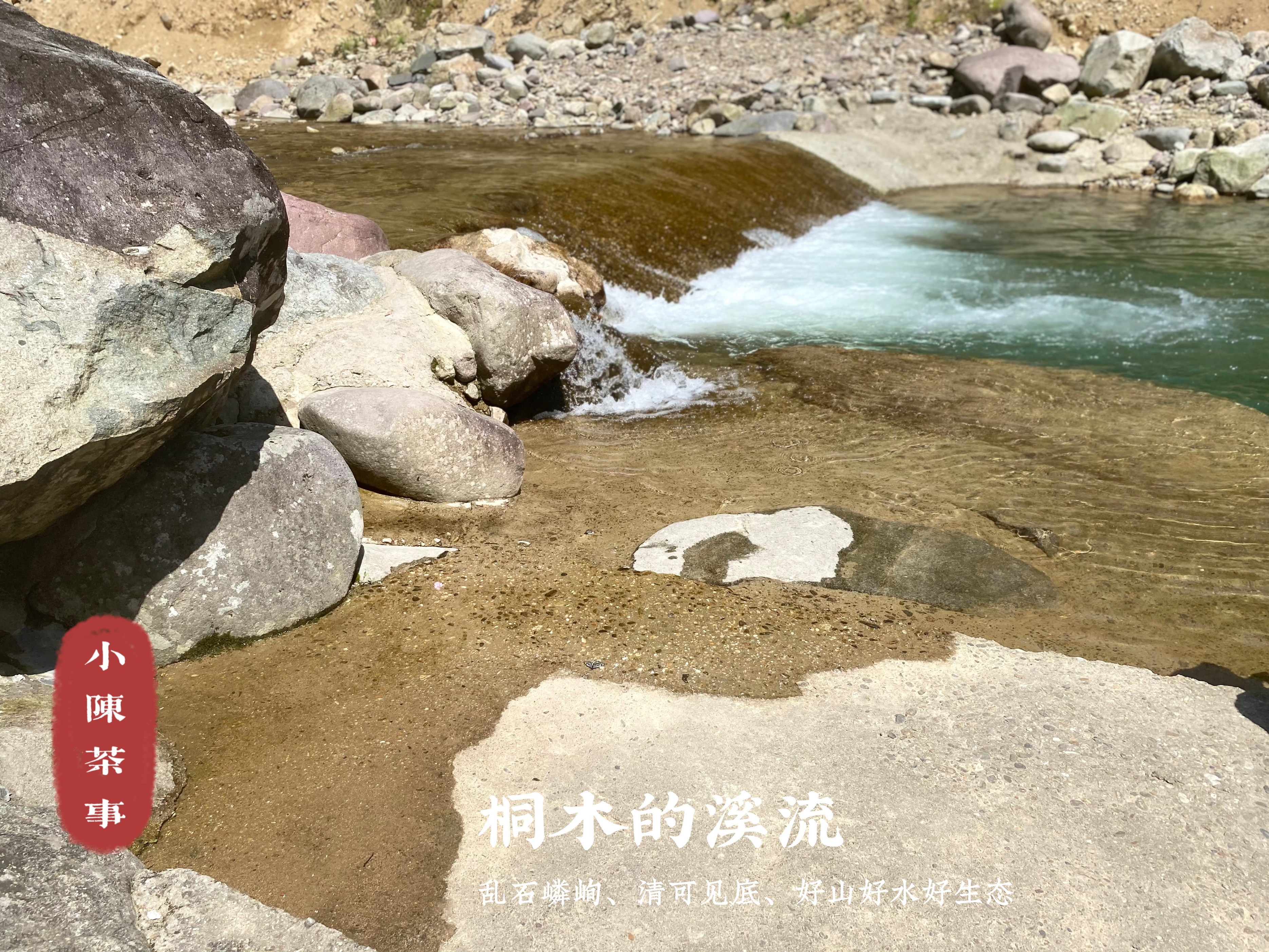 红茶金骏眉的价位,红茶金骏眉好点多少钱一斤