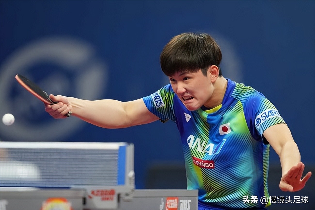 张本智和输球后感言,张本智和输球后采访说中文