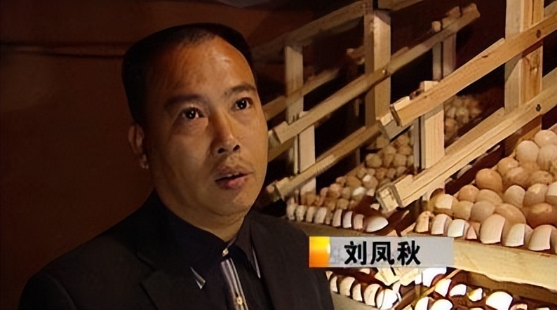 惠州大型养鸡场,十亩山林养殖3000只鸡