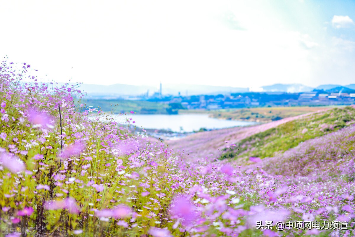 大型风力发电有什么商机,投资太阳能光伏发电项目前景如何