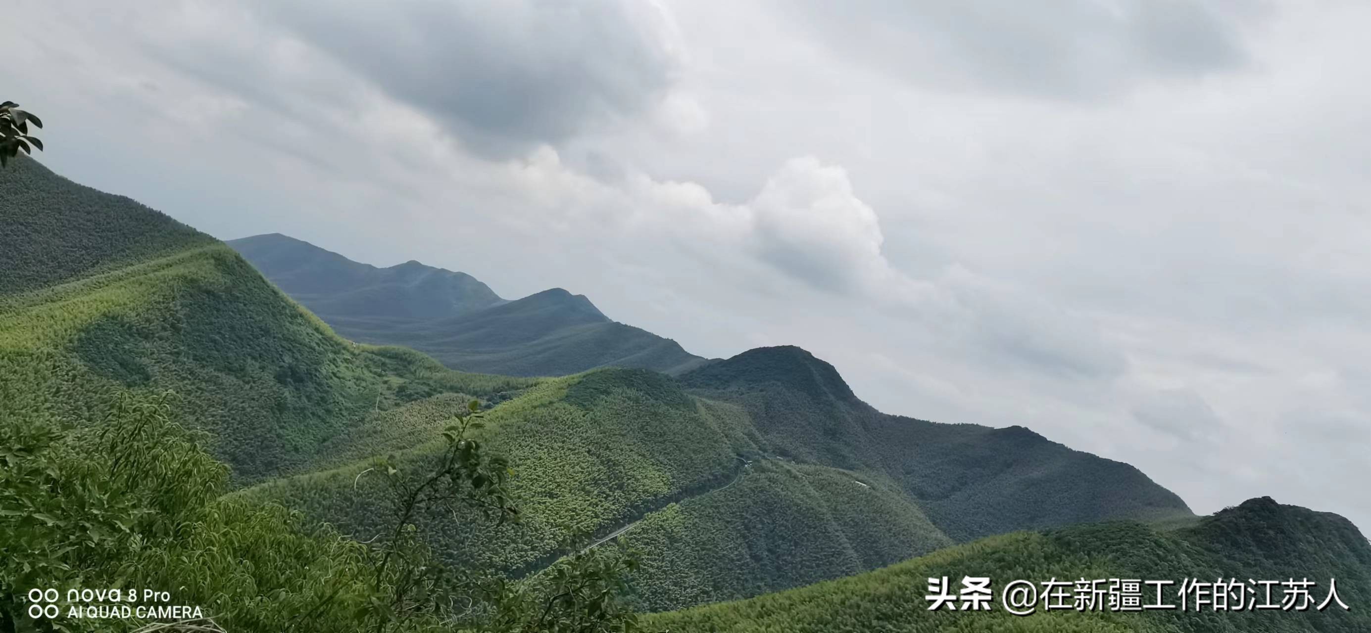 南山竹海是玩什么的,南山竹海最好的地方